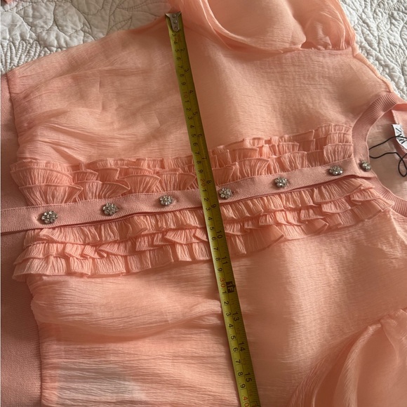ZARA Sheer Blush Blouse | Crystal Flower Buttons Knit Waist /Romantic - Picture 10 of 10
